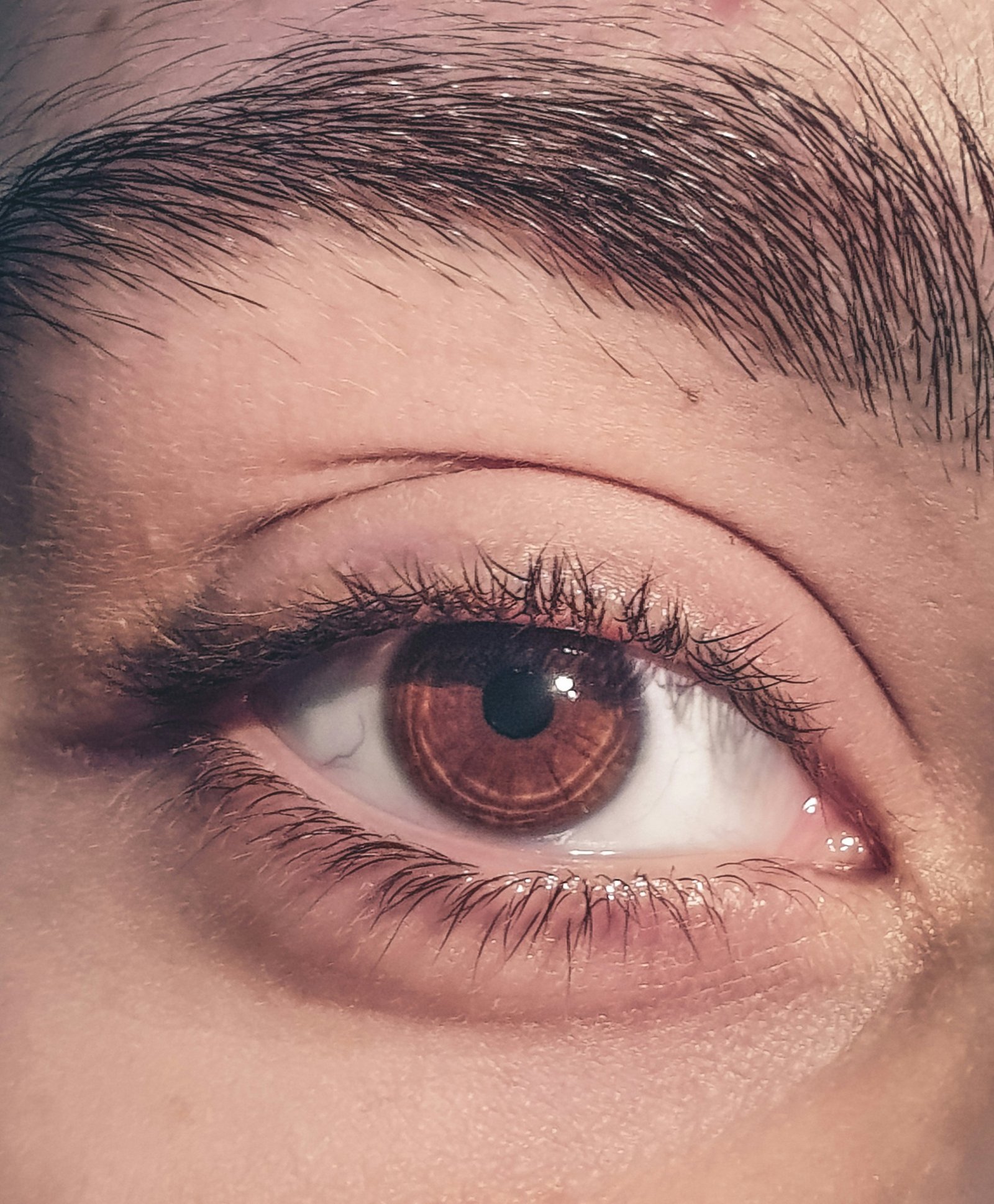 Detalle de una ceja y mirada de ojos marrones